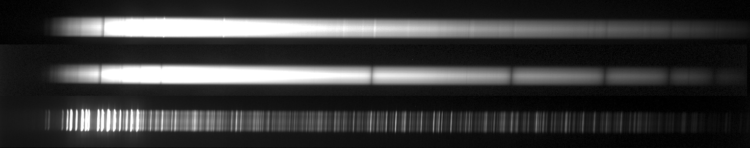 Raw first-light CCD frame showing Vega, Beta Lyrae, and ThAr calibration spectra